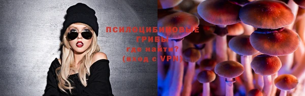 ГАЛЛЮЦИНОГЕННЫЕ ГРИБЫ Медногорск