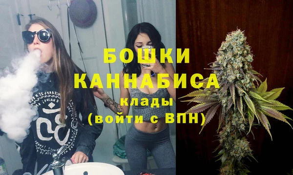 ГАЛЛЮЦИНОГЕННЫЕ ГРИБЫ Медногорск